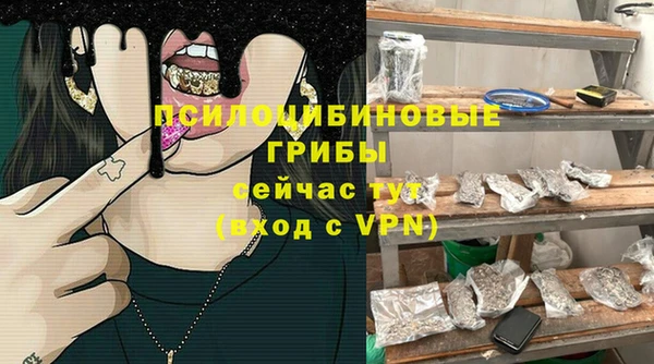 jwh Богородицк