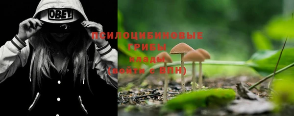 дживик Волосово